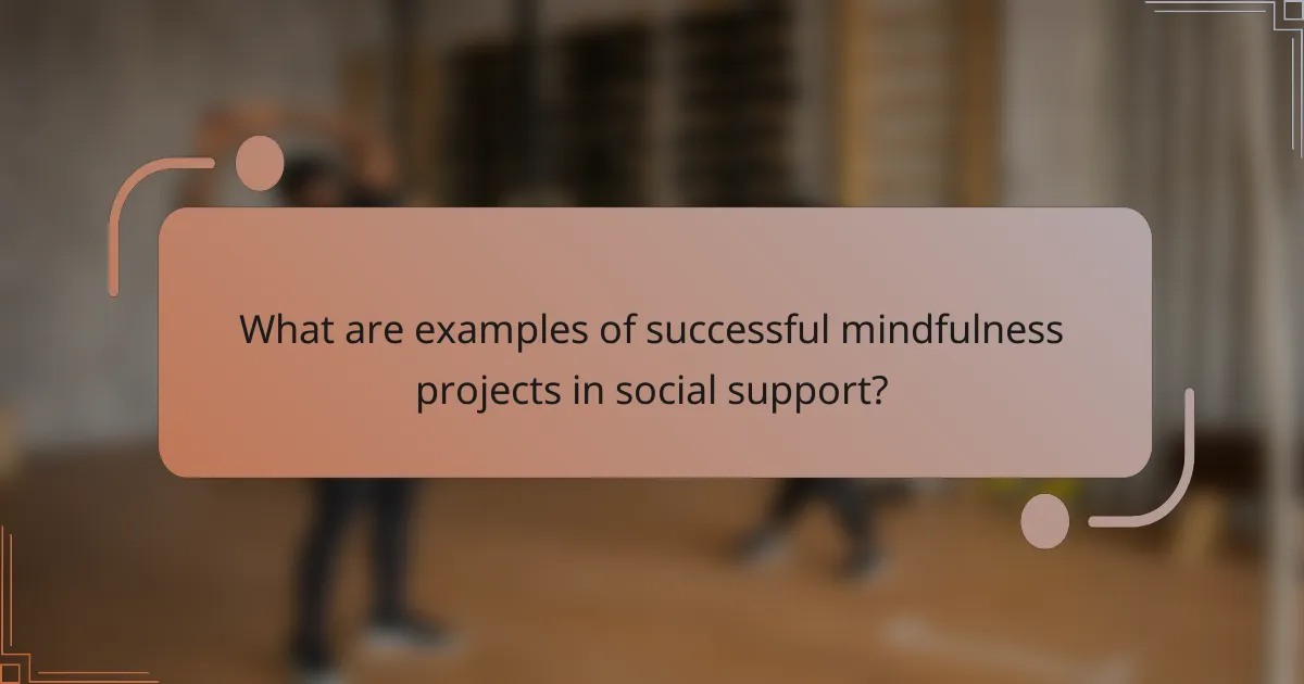 What are examples of successful mindfulness projects in social support?