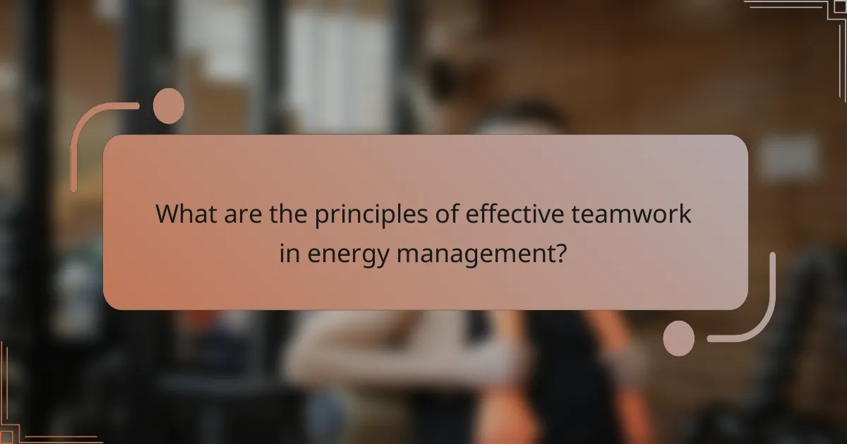 What are the principles of effective teamwork in energy management?